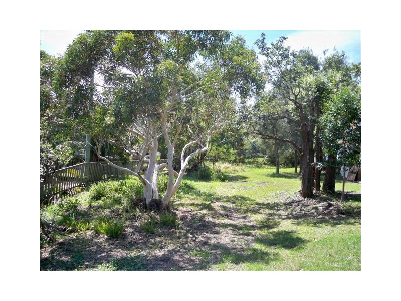 11 Pauline Avenue, Killcare Heights NSW 2257