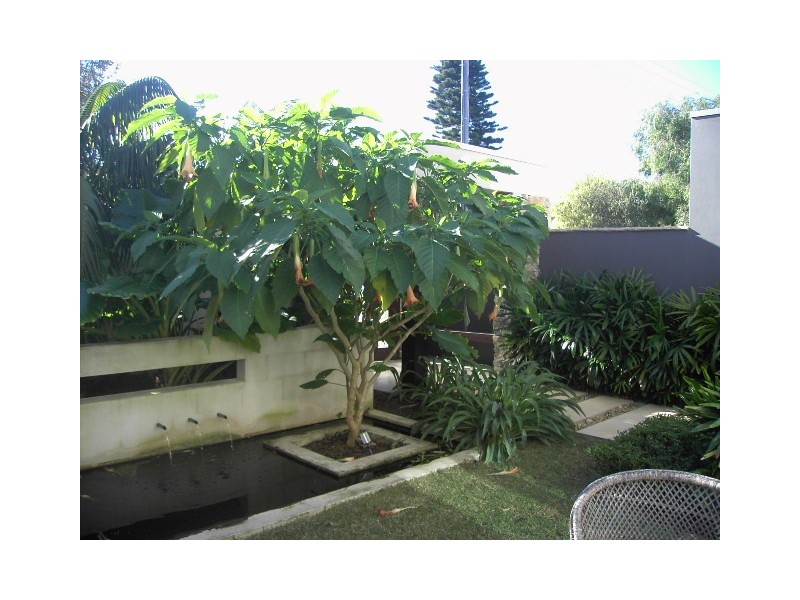 North Avoca NSW 2260