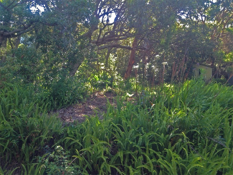 32 Grandview Crescent, Killcare NSW 2257