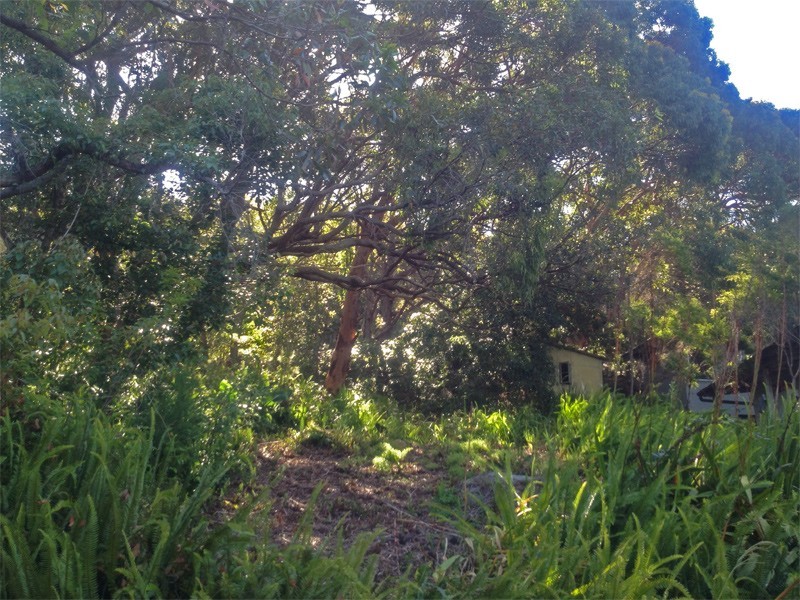 32 Grandview Crescent, Killcare NSW 2257