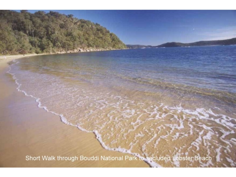 17 Albert St, Wagstaffe NSW 2257