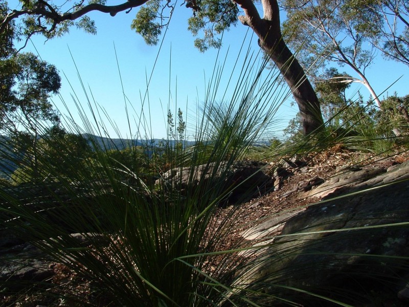 11D The Sanctuary, Umina Beach NSW 2257