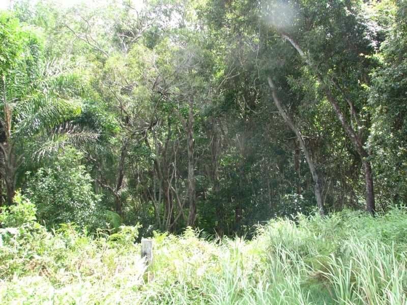 91 Lakes Boulevard, Wooloweyah NSW 2464