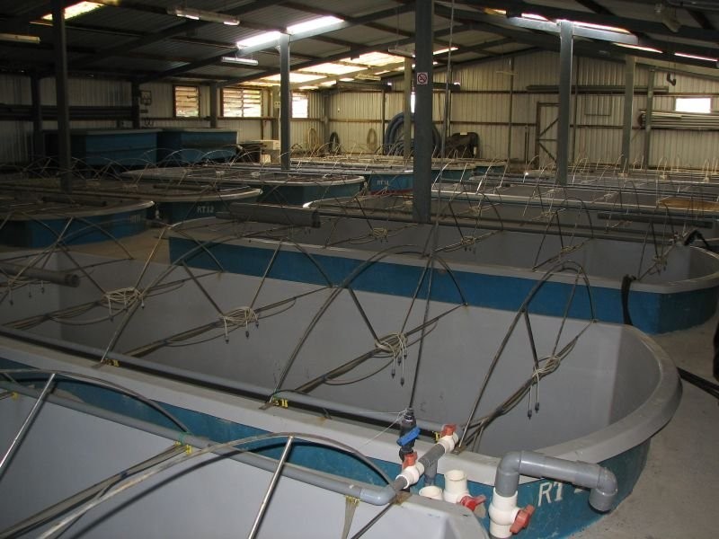 613 Goodwood Island Road, Goodwood Island NSW 2469