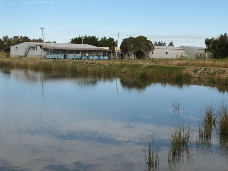 613 Goodwood Island Road, Goodwood Island NSW 2469