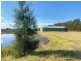 Palmers Island NSW 2463