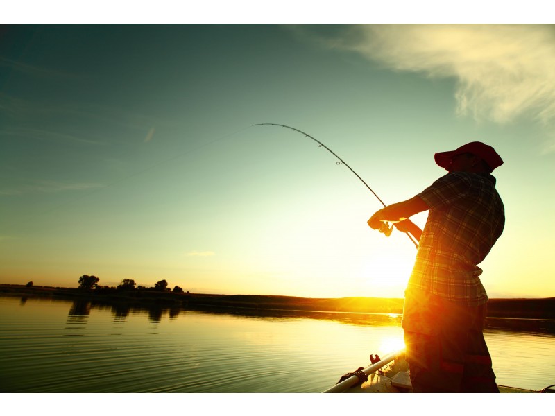 10 Clarence Street, Ashby NSW 2463