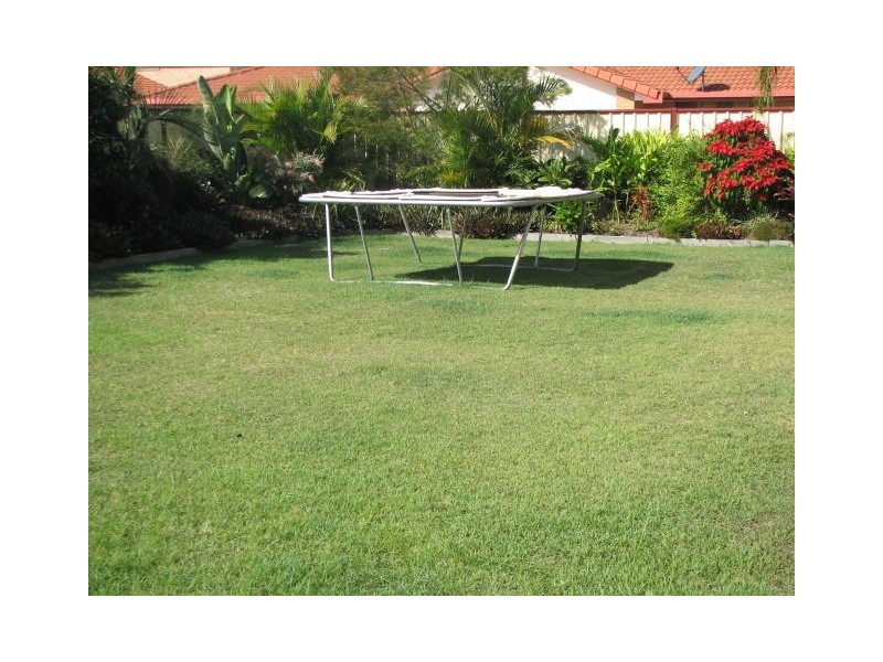 2 Westringia Place, Yamba NSW 2464