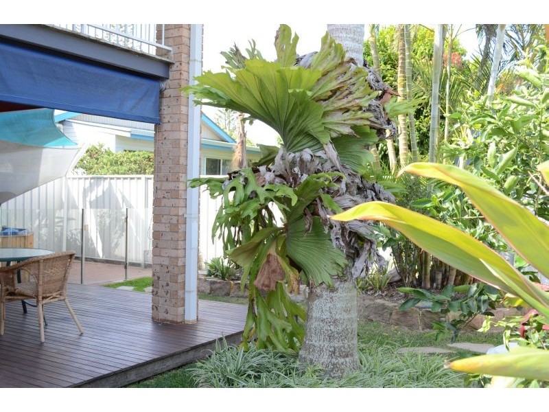 5/32 Wooli Street, Yamba NSW 2464