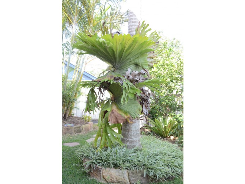 5/32 Wooli Street, Yamba NSW 2464