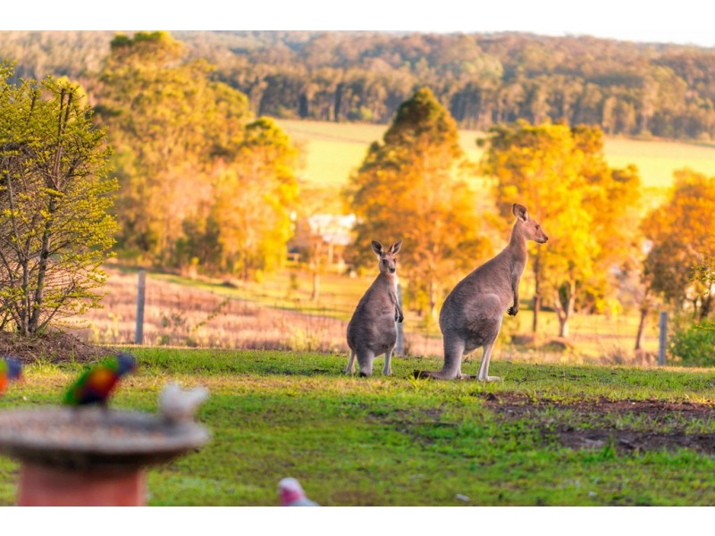 107 Clyde Essex Drive, Gulmarrad NSW 2463