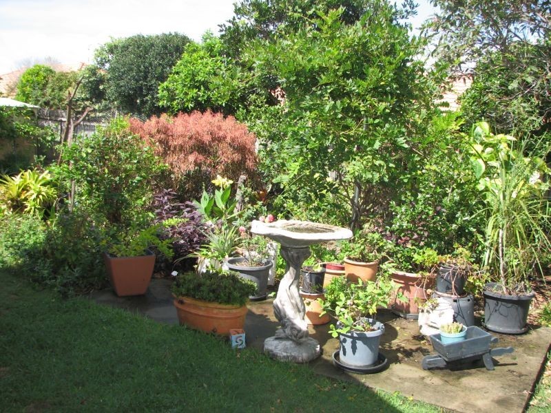 9 Bluewater Court, Yamba NSW 2464