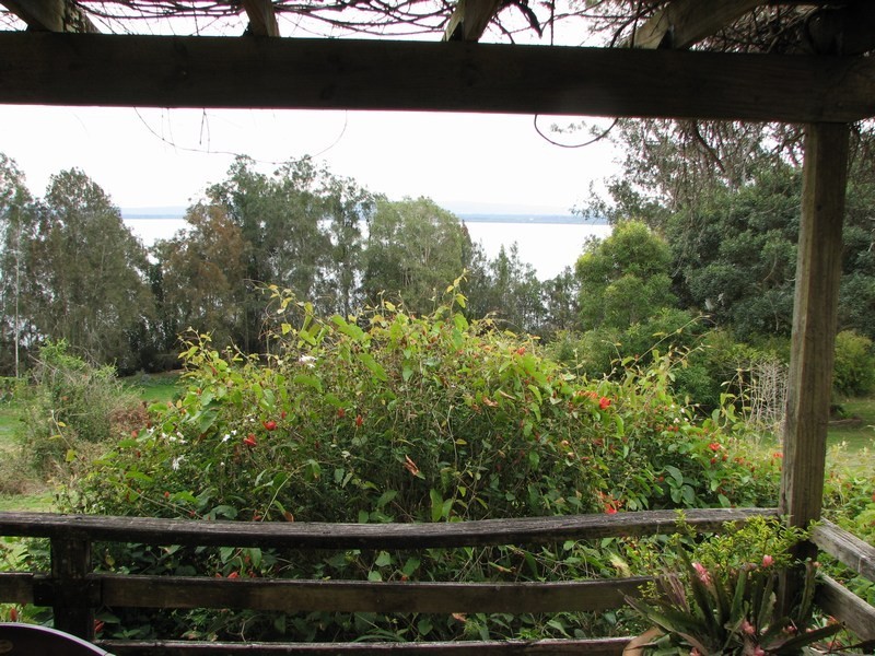 Lot 10 Patemans, Ashby NSW 2463