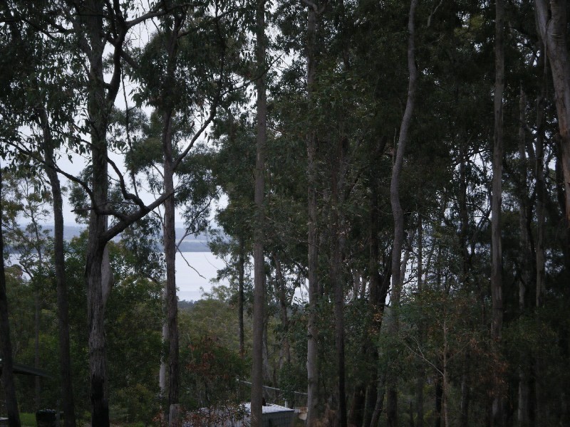 Lot 6 Crisp Drive, Ashby NSW 2463