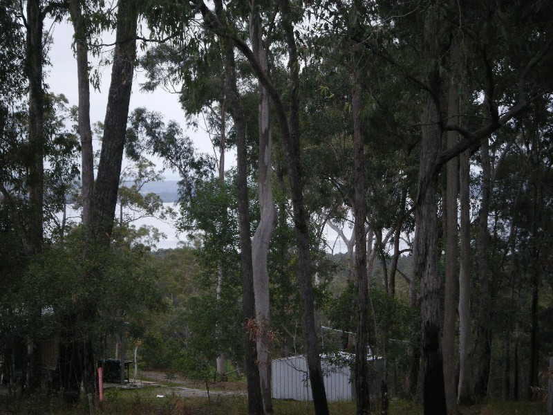 Lot 6 Crisp Drive, Ashby NSW 2463