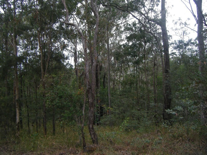 Lot 6 Crisp Drive, Ashby NSW 2463