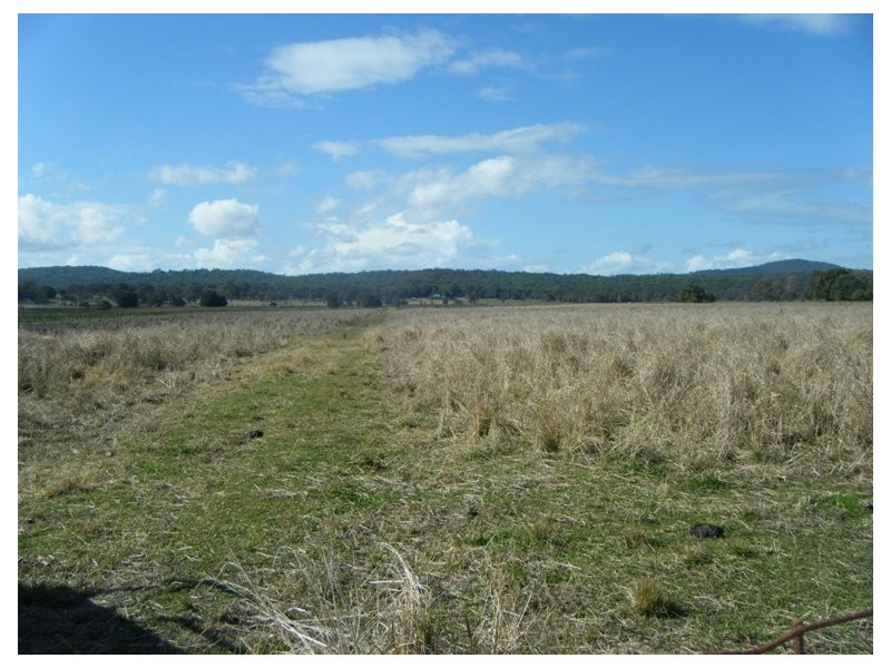 124 Coldstream Road, Tyndale NSW 2460