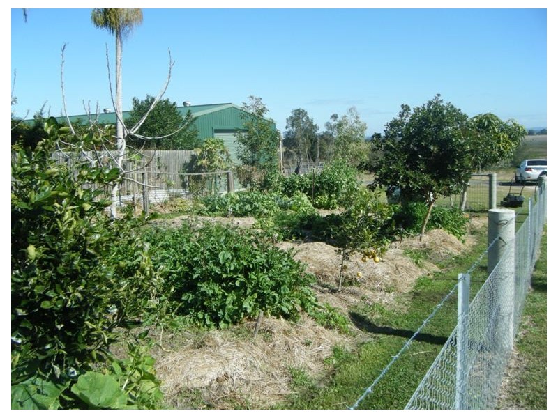 124 Coldstream Road, Tyndale NSW 2460