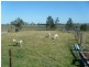 124 Coldstream Road, Tyndale NSW 2460