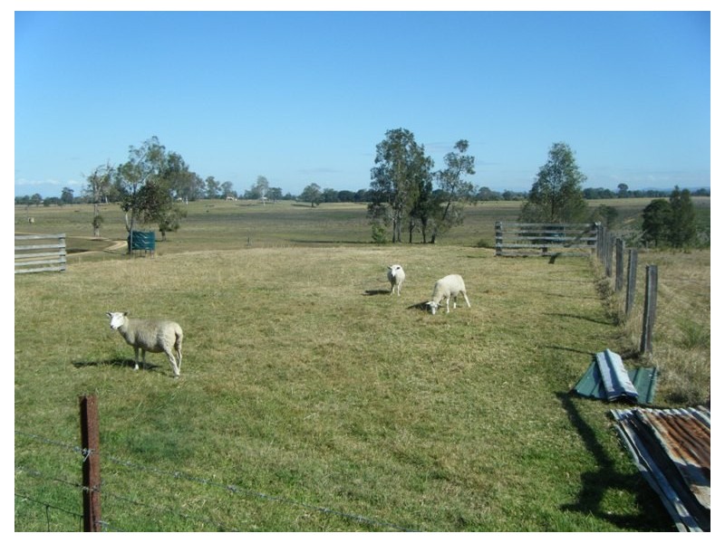 124 Coldstream Road, Tyndale NSW 2460