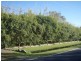181 Carrs Drive, Yamba NSW 2464