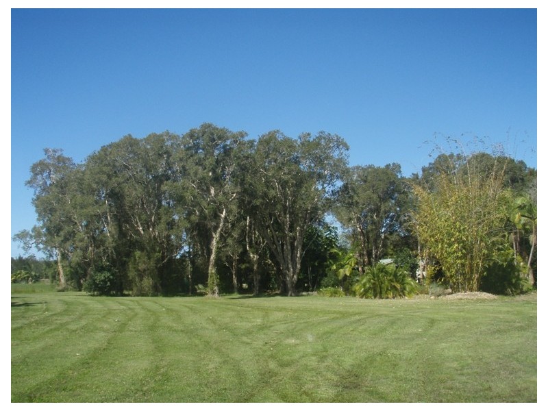 181 Carrs Drive, Yamba NSW 2464