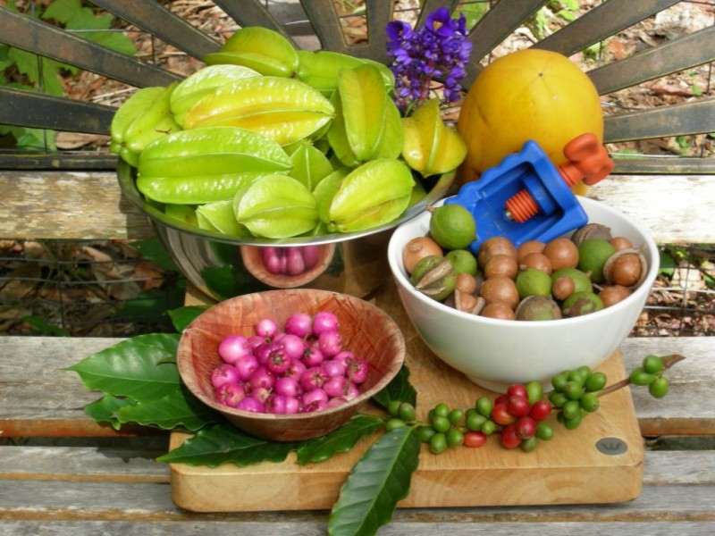 26 Young Street, Wooloweyah NSW 2464