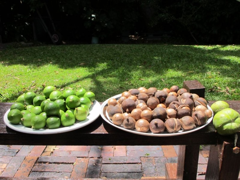 26 Young Street, Wooloweyah NSW 2464