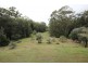 130 Tullymorgan Road, Ashby NSW 2463