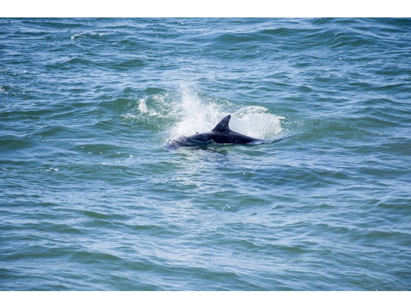 1 Church Street, Yamba NSW 2464