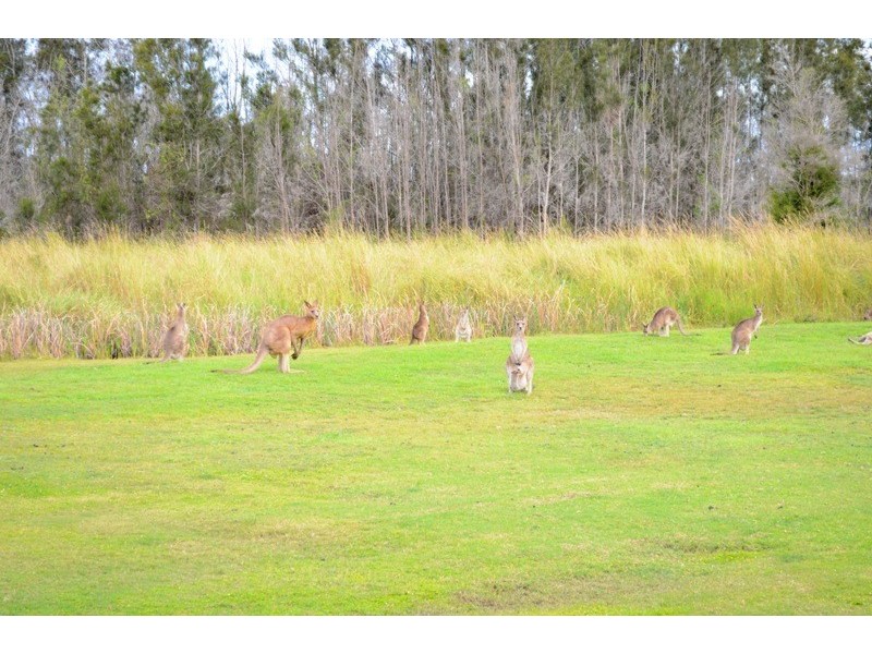 62 Micalo Road, Micalo Island, Yamba NSW 2464