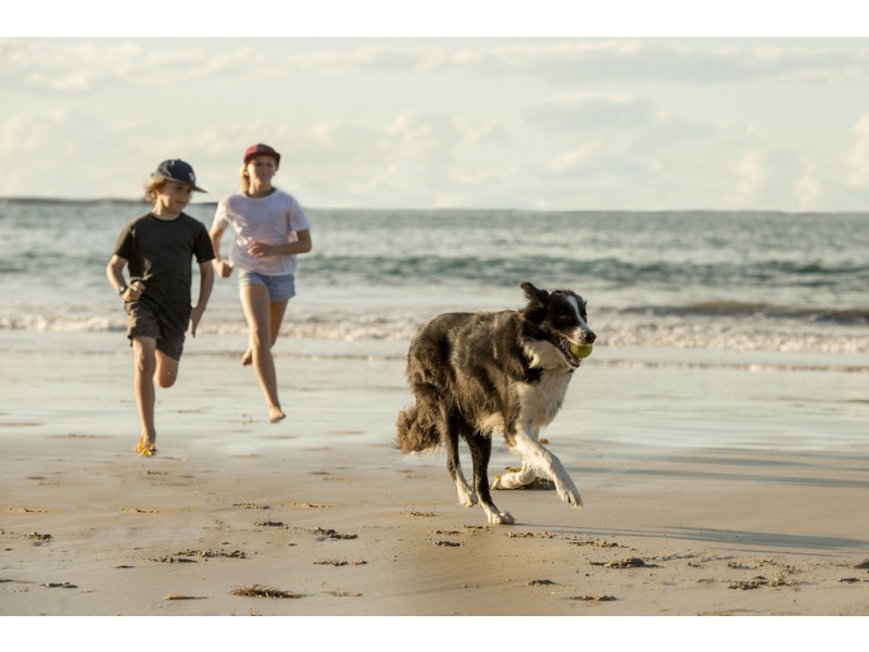 25 Ocean Road, Brooms Head NSW 2463