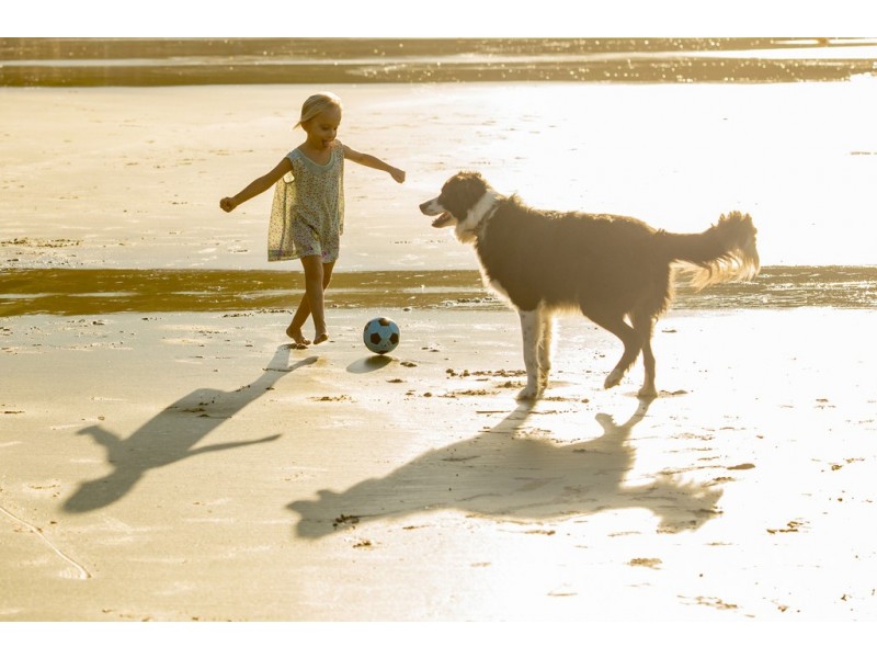 25 Ocean Road, Brooms Head NSW 2463