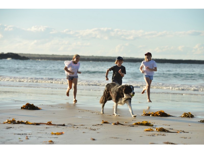 2 Pippie Street, Yamba NSW 2464