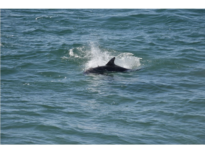 2/6 Ocean Street, Yamba NSW 2464