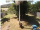 70 McLachlan St, Maclean NSW 2463