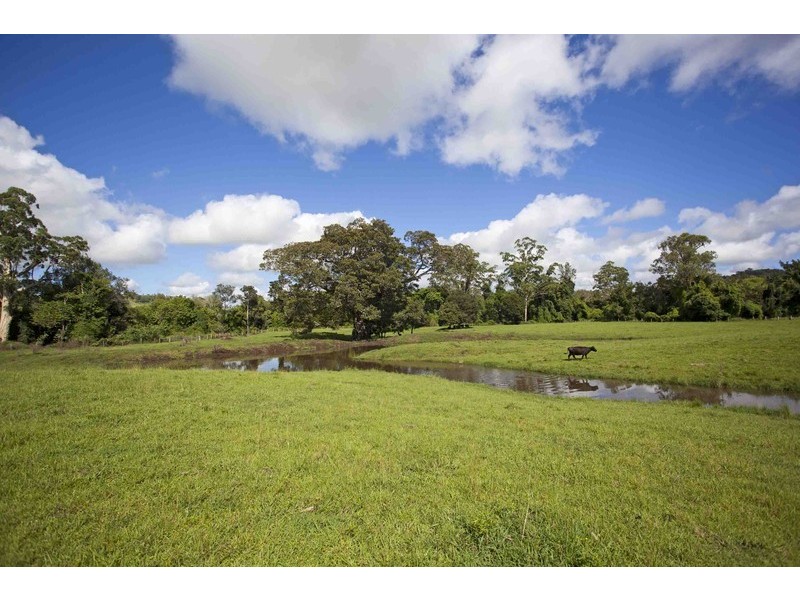720 Back Creek Road, Bentley NSW 2480