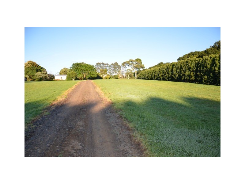 391 Alphadale Road, Tregeagle NSW 2480