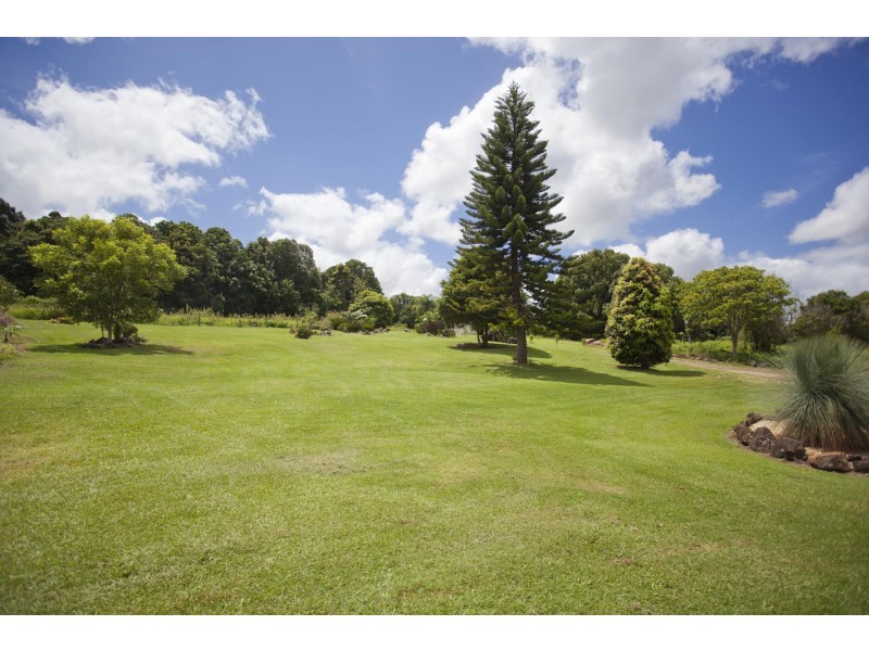 782 Wardell Road, Meerschaum Vale NSW 2477