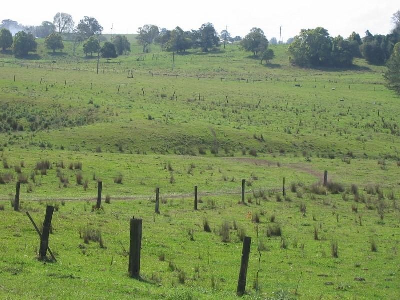 896 Wyrallah Road, Wyrallah NSW 2480