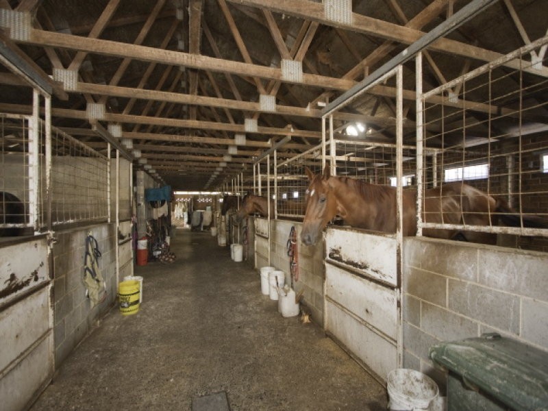 31 Racecourse Road, Ballina NSW 2478