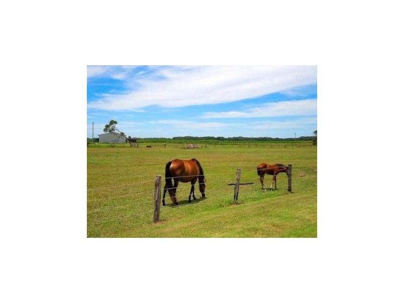 1102 River Drive, Ballina NSW 2478