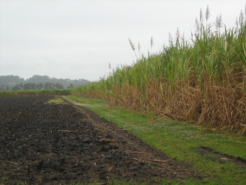 7 Whytes Lane, Pimlico NSW 2478