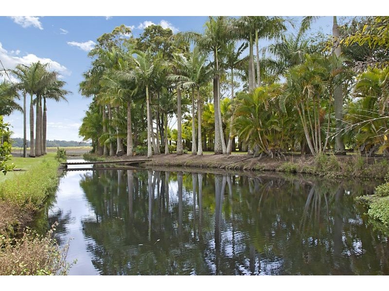 482 Pimlico Road, Pimlico NSW 2478