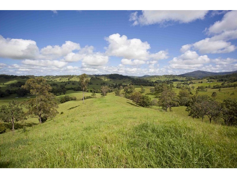 720 Back Creek Road, Bentley NSW 2480