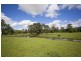 720 Back Creek Road, Bentley NSW 2480