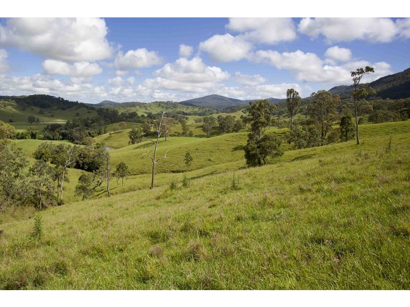 720 Back Creek Road, Bentley NSW 2480