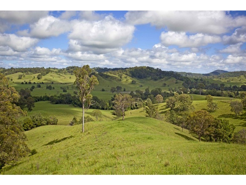 720 Back Creek Road, Bentley NSW 2480