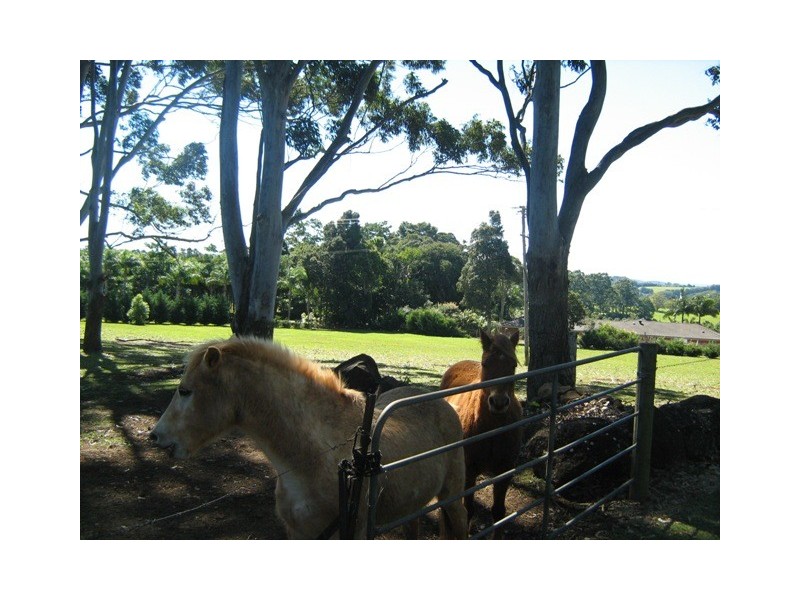 46 Fredricks Lane, Tintenbar NSW 2478