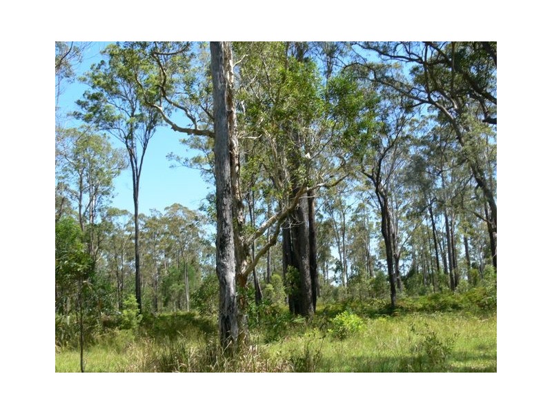 38 Mothersoles Road, Ellangowan NSW 2470